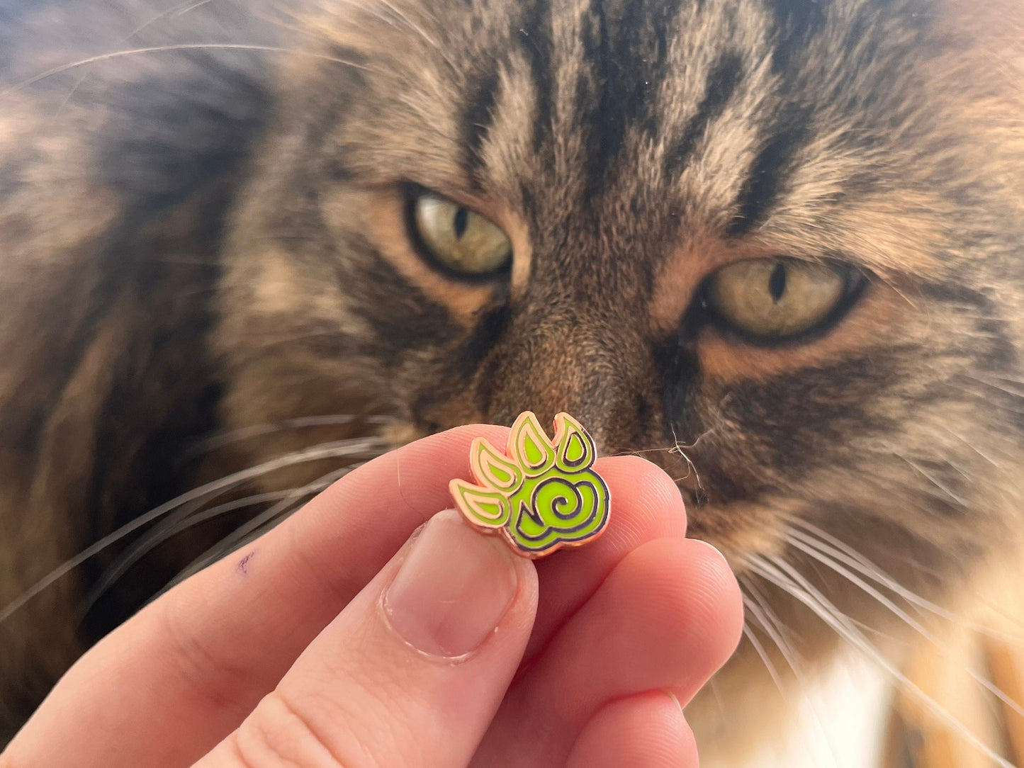 Pet Battles Paw Hard Enamel Pin