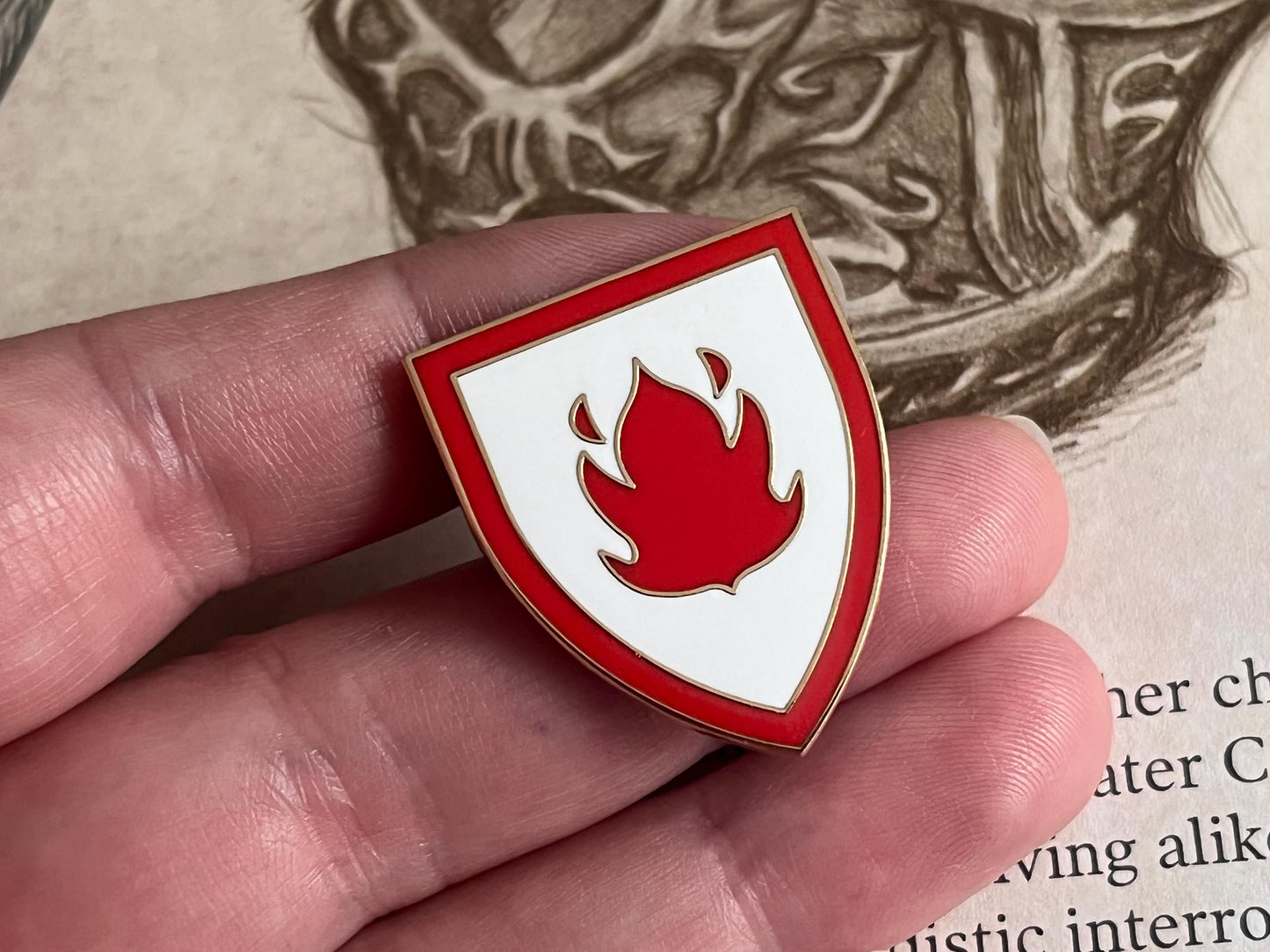 Scarlet Crusade Shield